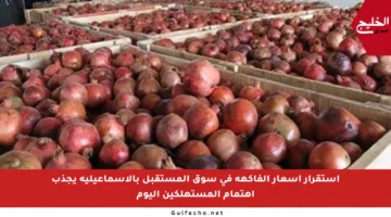 استقرار أسعار الفاكهة في سوق المستقبل بالإسماعيلية يجذب اهتمام المستهلكين اليوم